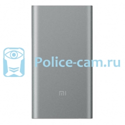 Внешний аккумулятор для персональных видеорегистраторов Xiaomi Mi Power Bank 2 10000 mAh Silver